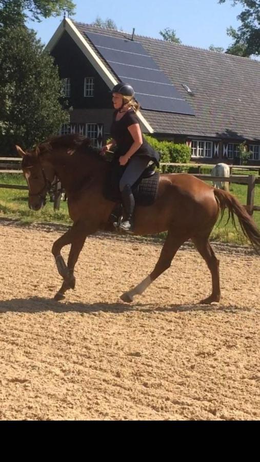 Erve Het Roolvink Boerderij Appartementen 40-50 M2 Enschede Dış mekan fotoğraf
