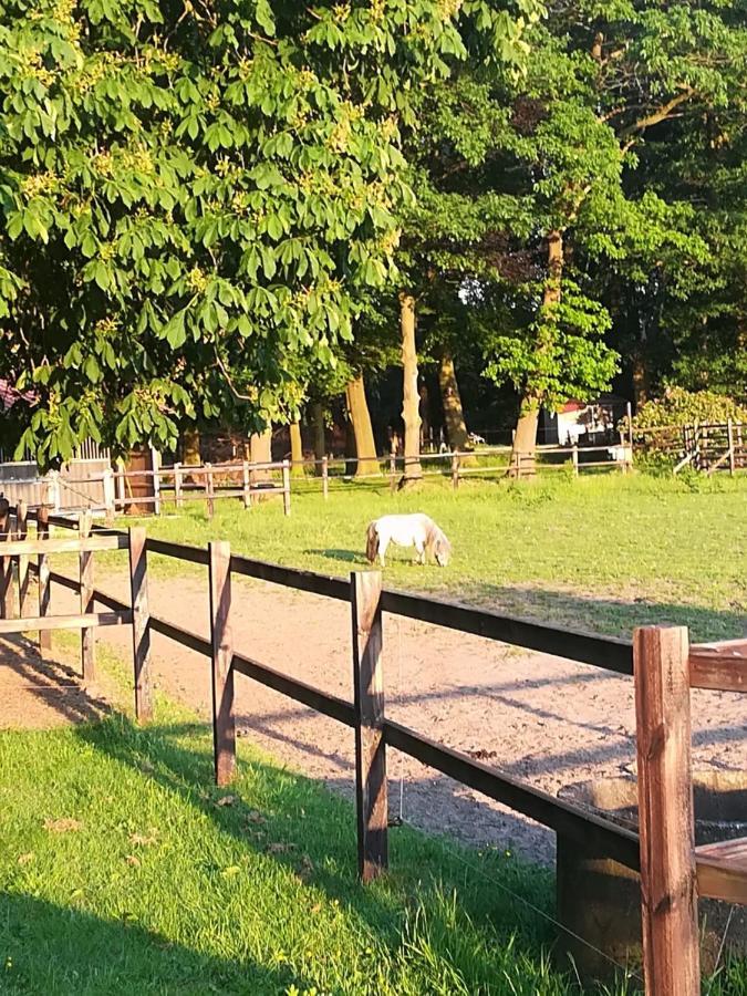 Erve Het Roolvink Boerderij Appartementen 40-50 M2 Enschede Dış mekan fotoğraf
