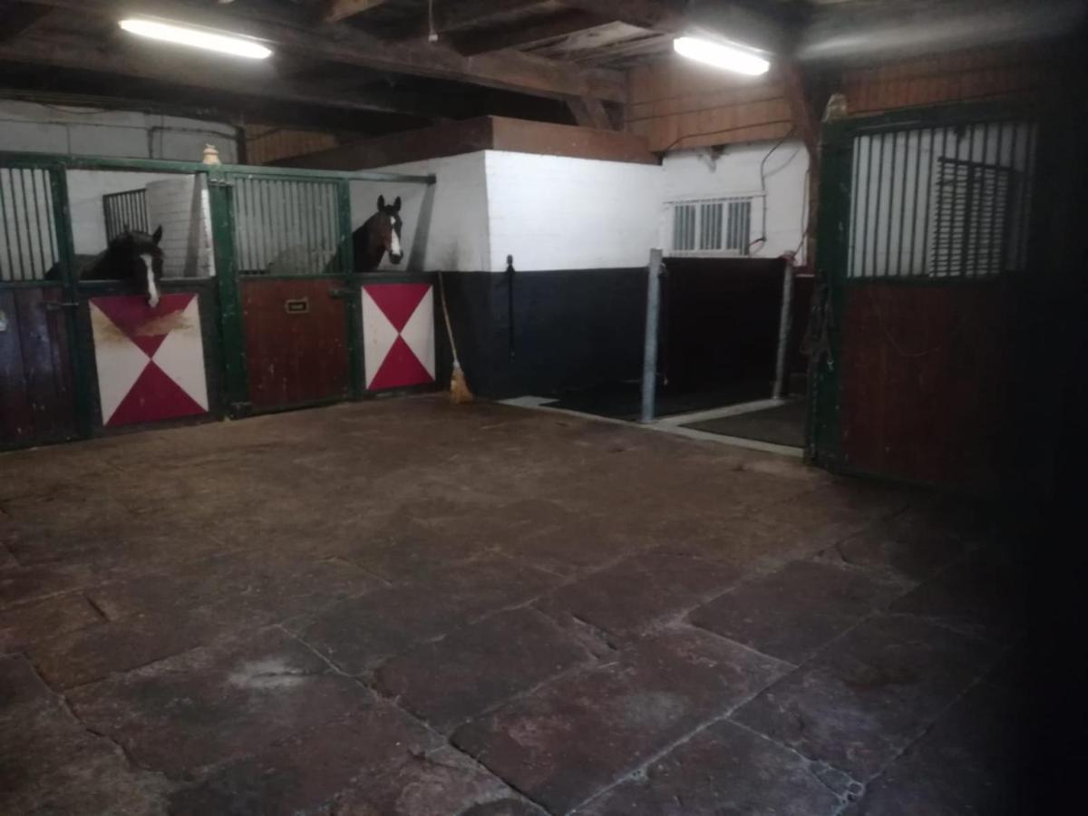 Erve Het Roolvink Boerderij Appartementen 40-50 M2 Enschede Dış mekan fotoğraf