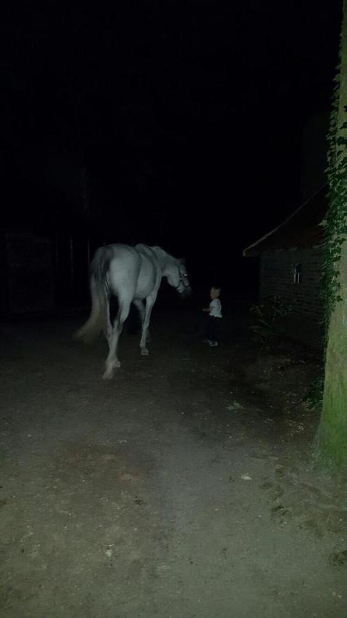 Erve Het Roolvink Boerderij Appartementen 40-50 M2 Enschede Dış mekan fotoğraf