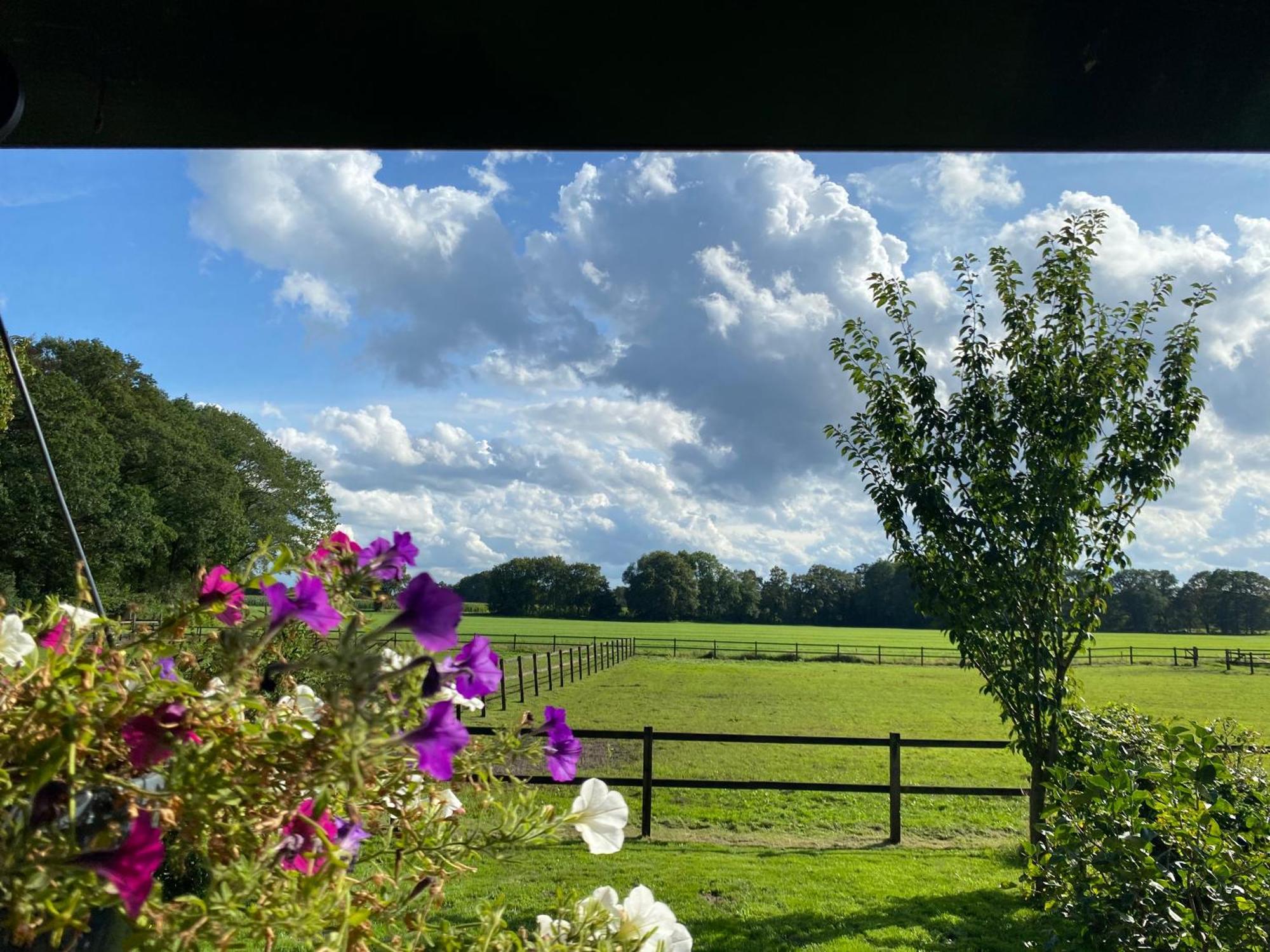 Erve Het Roolvink Boerderij Appartementen 40-50 M2 Enschede Dış mekan fotoğraf