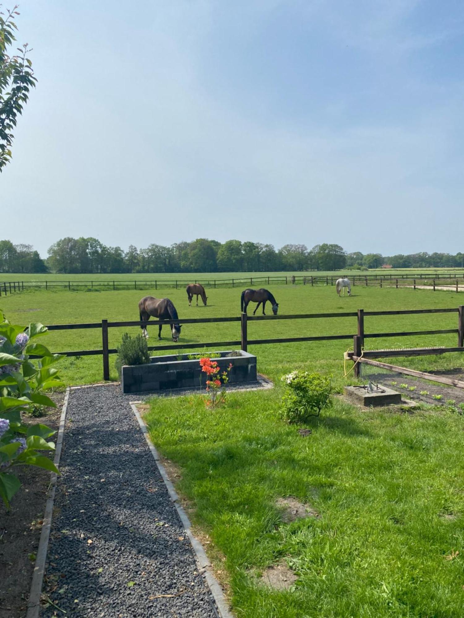Erve Het Roolvink Boerderij Appartementen 40-50 M2 Enschede Dış mekan fotoğraf