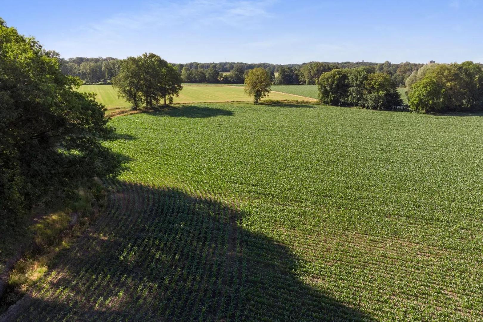 Erve Het Roolvink Boerderij Appartementen 40-50 M2 Enschede Dış mekan fotoğraf
